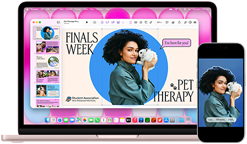 MacBook Neo, kleur Blos, naast een iPhone, op het MacBook Neo-scherm staat een presentatie getiteld Finals Week Pet Therapy met een foto van iemand die een konijn vasthoudt, op het iPhone-scherm staat dezelfde foto die is omgezet in een sticker voor in de presentatie